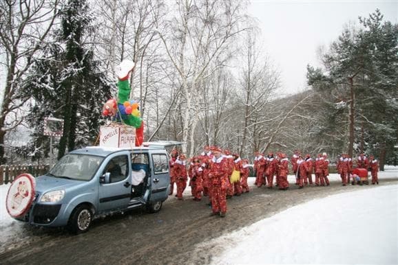 0006 Karnevalszug 2010 006