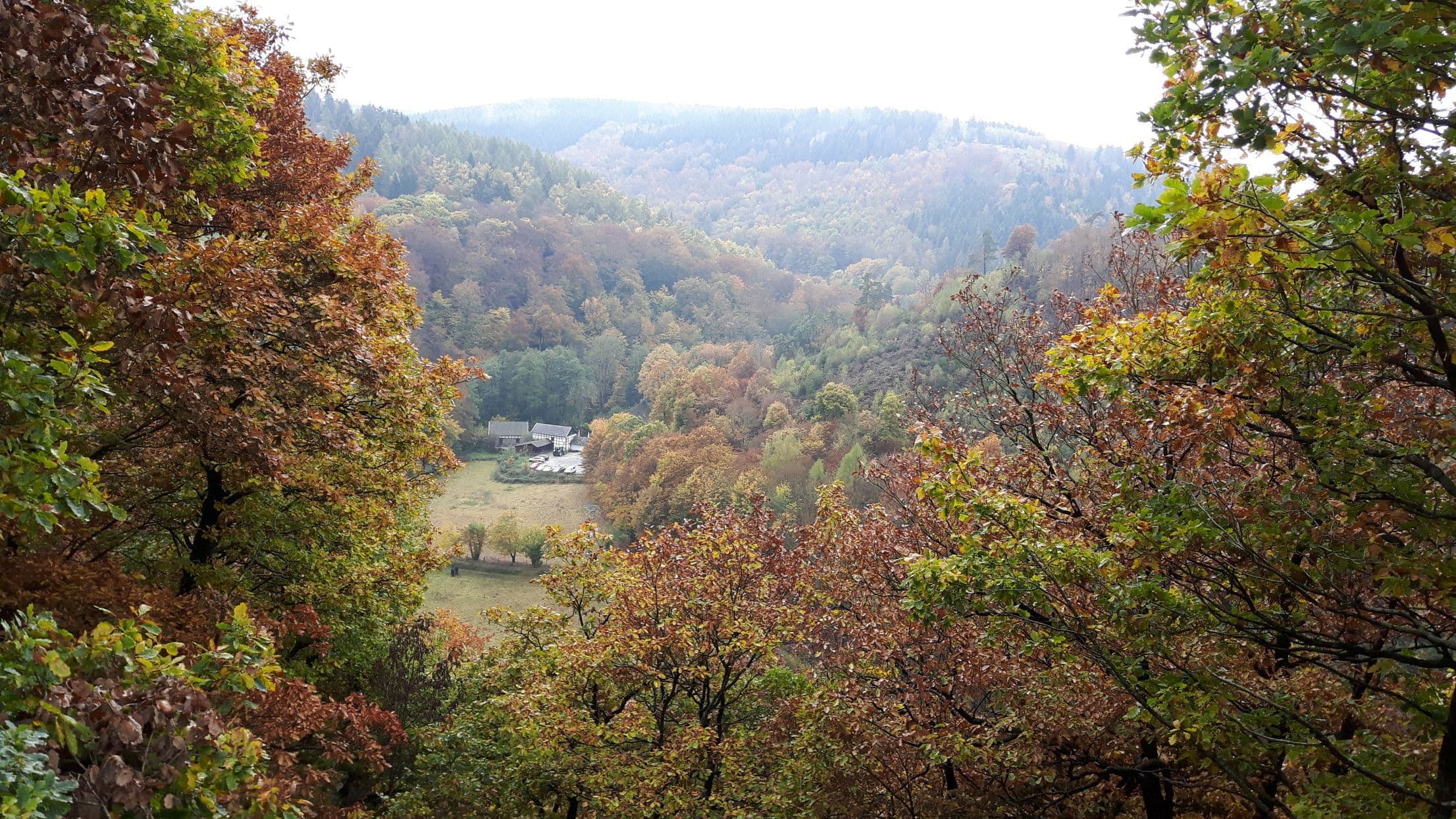 0014 Wandertag 2016 018