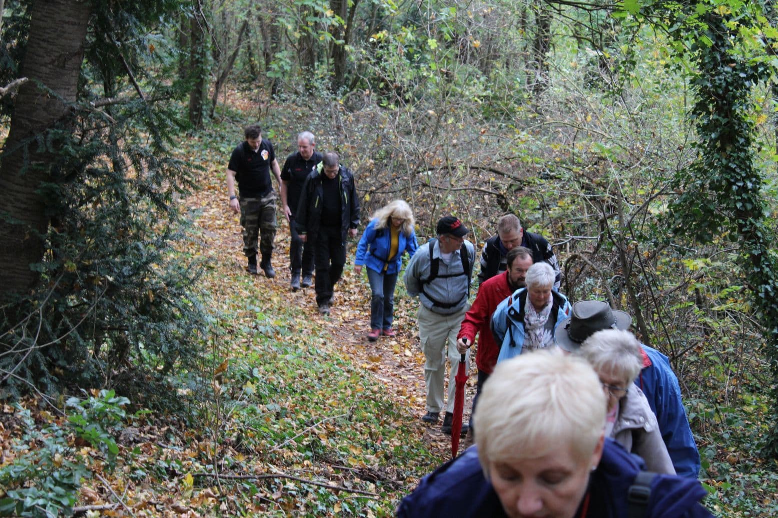 0003 Wandertag 2017   006