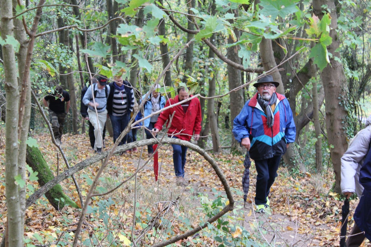 0004 Wandertag 2017   007