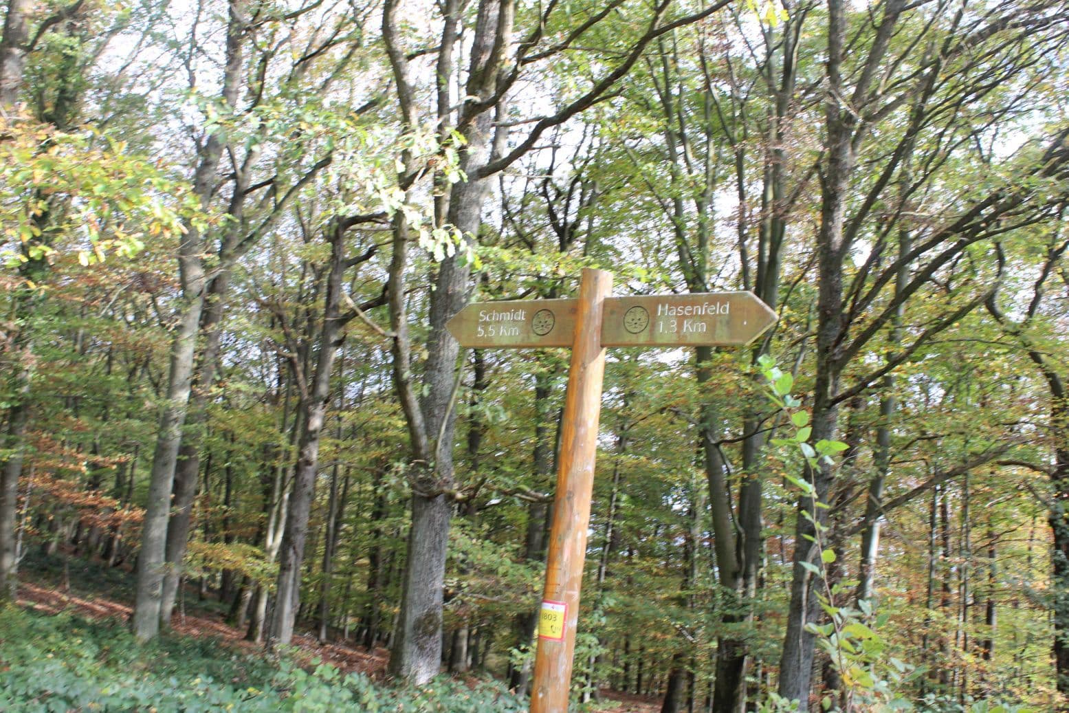 0015 Wandertag 2017   018